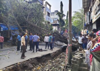 Tree Falls Due to Roadwork in Phadke Haud; Traffic Disrupted