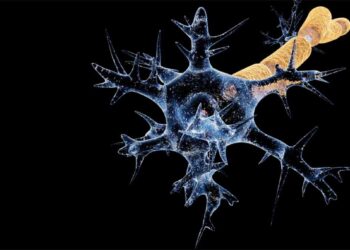 PCMC Cracks Down on Unauthorized RO Water Plants Amid GBS Concerns