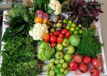 PMC to Introduce Weekly Organic Markets in Four City Areas