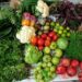 PMC to Introduce Weekly Organic Markets in Four City Areas