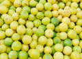 Rising Heat Causes Surge in Lemon Prices in Pune, With Supply Strain and Water Shortage