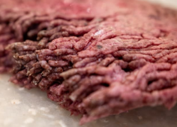 57 Tons of Beef Seized Near Lonavala Case Filed Against Transporters