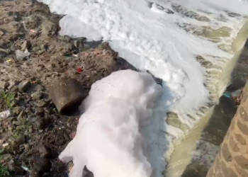 Mula River in Pimple Nilakh Polluted, Foams Due to Contaminated Water