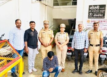 Market Yard Police Seize Mephedrone Worth ₹1 Lakh, Arrest Habitual Offender