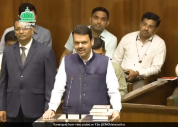 No Organized Koyata Gang in Pune, But Minors Using Machetes to Create Fear: CM Fadnavis