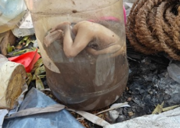 Horrific Discovery in Daund 1012 Newborns Found Dumped in Garbage Police Launch Investigation