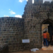 Bee Attack at Shivneri Fort Injures 60 Visitors