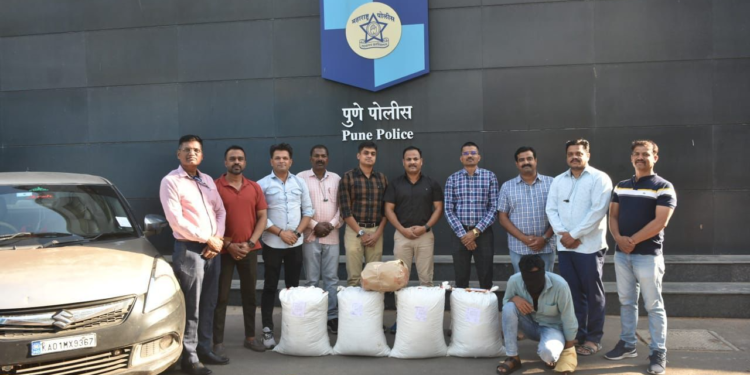 Pune Police Seize 60 Kg Cannabis Worth ₹12 Lakh; Karnataka Resident Arrested