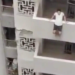 Young Man Uploads Suicide Video on Instagram Before Jumping Off Building; Two Cousins Arrested for Mental Harassment