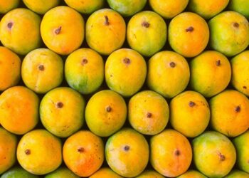 Hapus Mango Supply Soars at Pune Market YardBut Prices Fall Amid PostFestival Dip
