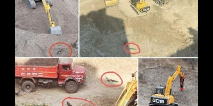 Kothrud Residents to Stage Peaceful Earth Day Protest Against MIT-WPU Expansion