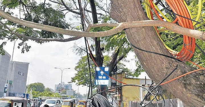 Retired Police Officer Injured After Cable Hanging from Tree Causes Accident in Pune