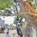 Retired Police Officer Injured After Cable Hanging from Tree Causes Accident in Pune