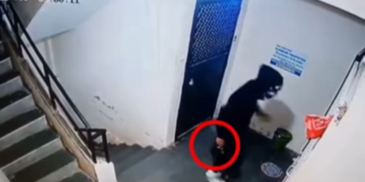 Masked Men Cause Panic in Pune Housing Society Resembling Money HeistStyle Intrusion