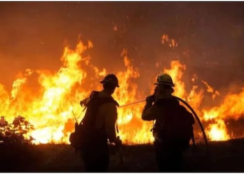 Fire Breaks Out at Bajaj Electric Service Center in Bopodi No Injuries Reported