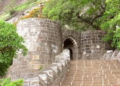 Bee Attack at Shivneri Fort Leaves Tourists Injured Prompts Safety Review