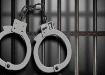 19-year-old Girl Arrested in Kondhwa for Posting Pakistan Zindabad on Social Media