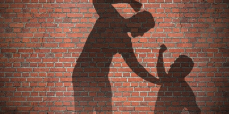 PMPML Bus Driver Assaulted by Trio in Hadapsar Police Register Case