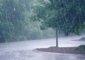 Record-Breaking May Rainfall Soaks Maharashtra as Monsoon Arrives Early