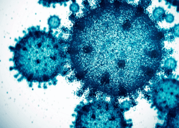 Maharashtra Reports 66 New COVID-19 Cases Mumbai Leads with 31 Infections