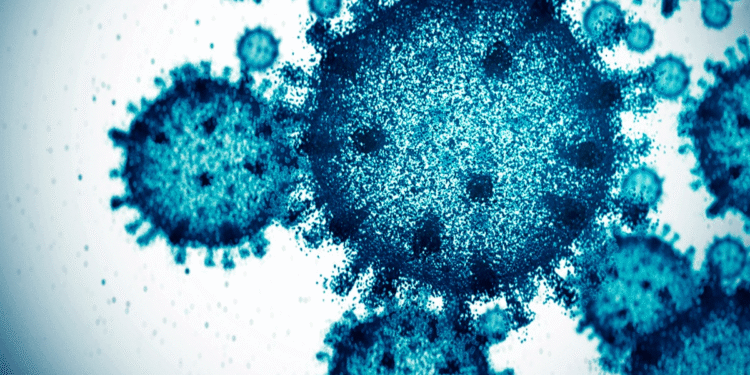 Maharashtra Reports 66 New COVID-19 Cases Mumbai Leads with 31 Infections