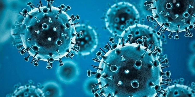 Maharashtra Sees Sudden Rise in Covid-19 Cases Mostly from Mumbai