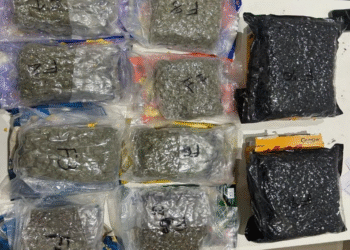 ₹10 Crore Worth Hydroponic Cannabis Seized at Pune International Airport Three Arrested