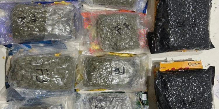 ₹10 Crore Worth Hydroponic Cannabis Seized at Pune International Airport Three Arrested