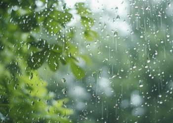 Pune to See Light Rainfall as IMD Issues Yellow Alert for Maharashtra on May 4-5