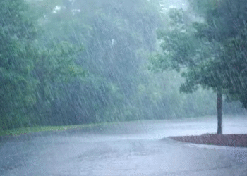 In Pune the IMD has forecast continued moderate rainfall accompanied