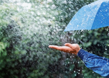 IMD Issues Orange Alert for Pune Heavy RainsThunderstorms Forecast Across Maharashtra and Konkan Belt