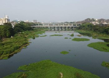 Mula River Project Sparks Environmental Concerns Wildlife at Risk