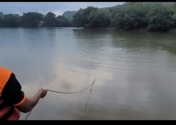 Two Youths Drown in Bhushi DamLonavala in Tragic Incident