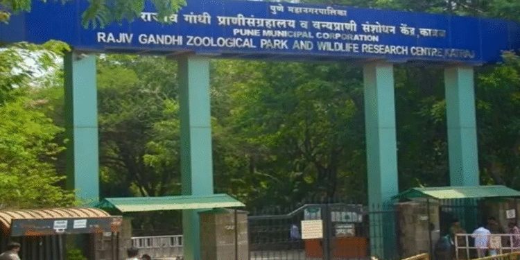 PMC Seeks Withdrawal of Charges Against Katraj Zoo Director Requests Return of Seized Wildlife