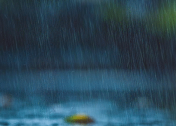 Fresh Rainfall Alert Issued for Maharashtra: IMD Predicts Thunderstorms Across 14 Districts