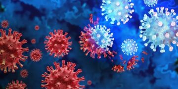 COVID-19 Cases Dip Slightly in Pune But Death Toll Climbs to 28 Across Maharashtra