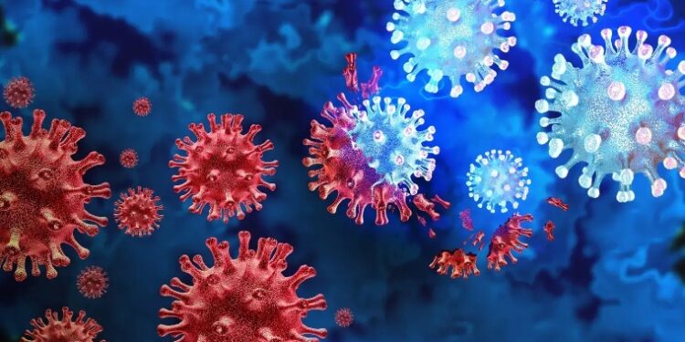 COVID-19 Cases Dip Slightly in Pune But Death Toll Climbs to 28 Across Maharashtra