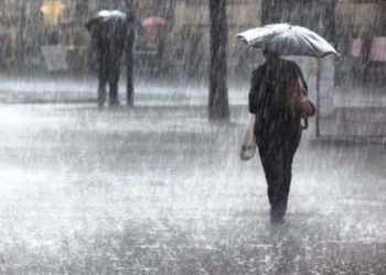 Southwest Monsoon Likely to Revive Between June 12–18 IMD