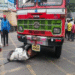 Pune Truck Accident Driver and Owner in Police Custody Until June 14 Following Fatal Collision