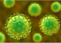 India Develops Rapid Nipah Virus Test Kit for Instant Detection Rolls Out Soon in Kerala and West Bengal