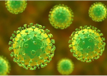 India Develops Rapid Nipah Virus Test Kit for Instant Detection Rolls Out Soon in Kerala and West Bengal