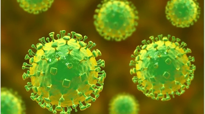 India Develops Rapid Nipah Virus Test Kit for Instant Detection Rolls Out Soon in Kerala and West Bengal