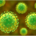 India Develops Rapid Nipah Virus Test Kit for Instant Detection Rolls Out Soon in Kerala and West Bengal