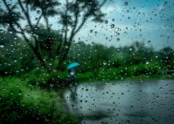 Monsoon Gains Strength Across MaharashtraIMD Issues Heavy Rainfall Alert for Six Districts