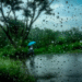 Monsoon Gains Strength Across MaharashtraIMD Issues Heavy Rainfall Alert for Six Districts