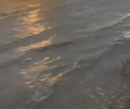 Wagholi Lashed by Heavy Rain and Thunderstorms Major Waterlogging on Pune-Ahmednagar Road