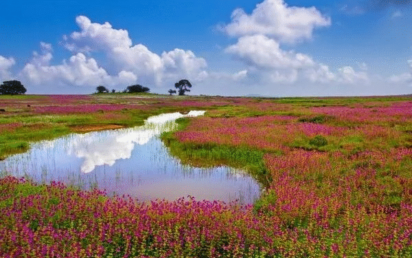 Satara District Shuts Tourist Hotspots Amid Monsoon Safety Concerns Until August 19