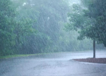 IMD Issues Heavy Rainfall Warning Across Maharashtra Raigad Schools Shut Down Amid Monsoon Alert