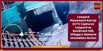 Leopard Movement Katraj CCTV footage showing leopard near Kanifnath Hill steps