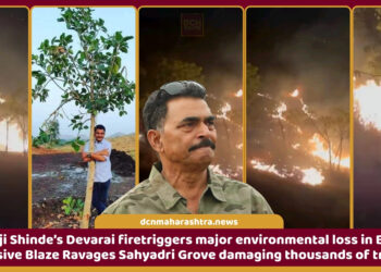 Sayaji Shinde Devarai fire sends thick smoke over Sahyadri Devarai near Palvan, Beed